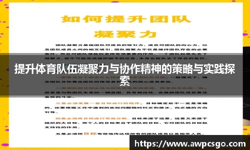 提升体育队伍凝聚力与协作精神的策略与实践探索