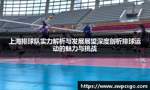 上海排球队实力解析与发展展望深度剖析排球运动的魅力与挑战